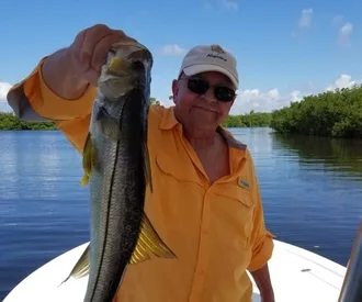 Tampa Bay Fishing Charters Report | December 2017